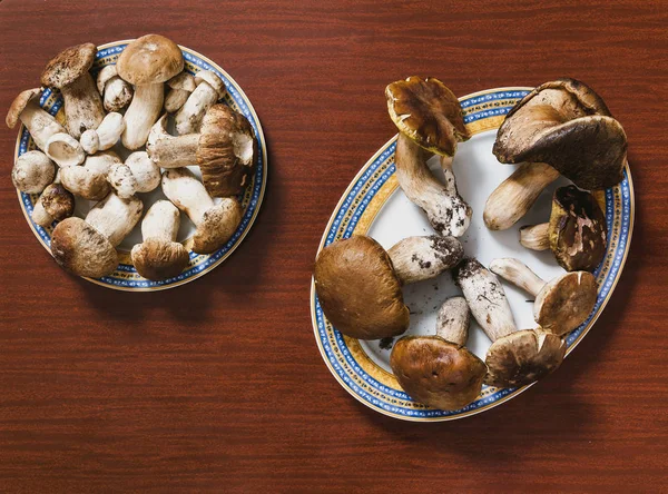 Vintage of white mushrooms. Beautiful white mushrooms lie on two plates on a brown table. View from abov