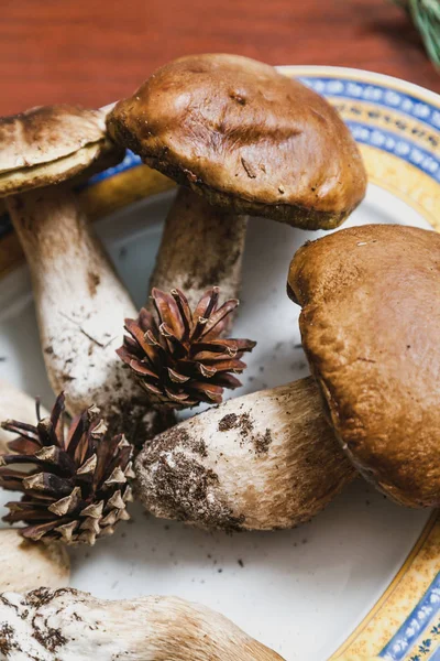 Floresta Ainda Vida Belos Cogumelos Brancos Estão Uma Chapa Cones — Fotografia de Stock
