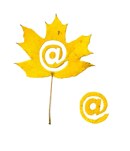 Autumn Signs Sign Carved Beautiful Yellow Maple Leaf White Background — Stock Photo, Image