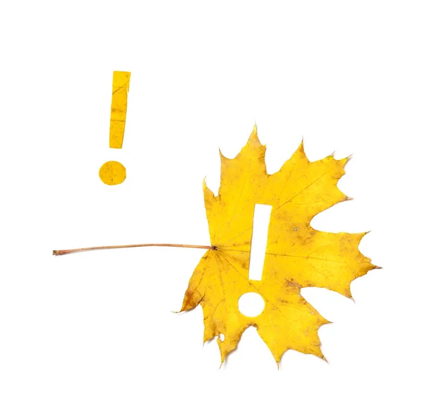 Herbstliche Zeichen Ein Zeichen Geschnitzt Aus Einem Schönen Gelben Ahornblatt — Stockfoto