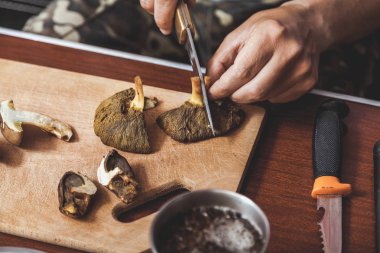 Toplanan mantarların incelenmesi. Tahta bir yaban domuzunun üstünde yenebilir mantar kesen bir adamın elleri.