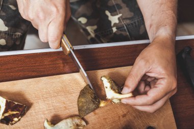 Toplanan mantarların incelenmesi. Tahta bir yaban domuzunun üstünde yenebilir mantar kesen bir adamın elleri.