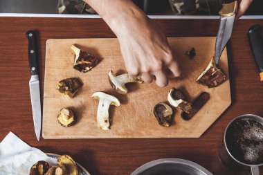 Toplanan mantarların incelenmesi. Tahta bir yaban domuzunun üstünde yenebilir mantar kesen bir adamın elleri.