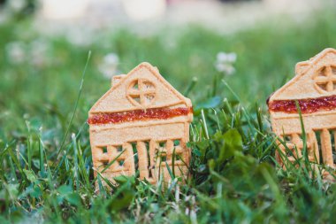 inanılmaz şirin bir evi. Küçük bir ev şeklinde iki tanımlama bilgileri üzerinde yeşil bir meado standı