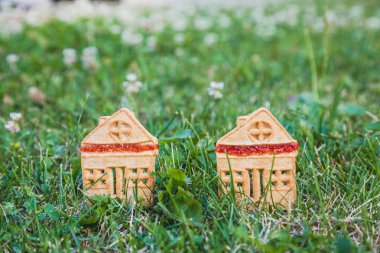 inanılmaz şirin bir evi. Küçük bir ev şeklinde iki tanımlama bilgileri üzerinde yeşil bir meado standı