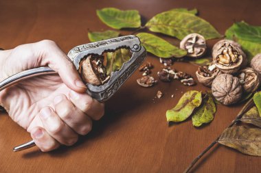 adamın sol elinde metal bir somun fıstıklı cevizli kahverengi masa üzerinde açmışve. Bir avuç fındık arkası