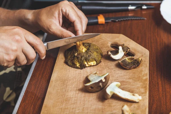 Processing Collected Mushrooms Hands Man Cut Fresh Edible Porcini Mushrooms — Stock Photo, Image