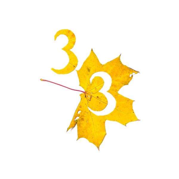 秋天的数字 数字3是从一个美丽的黄色枫叶在白色背景雕刻 在工作表上 信函的字母模式 — 图库照片