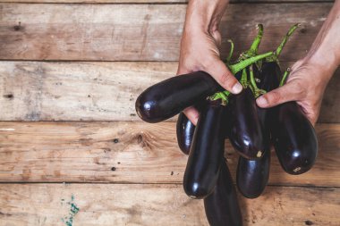 Sonbaharda hasat elinde. Ellerini olgun patlıcan bir avuç rendelenmiş ahşap panoları yakın-u üzerinde tutun.