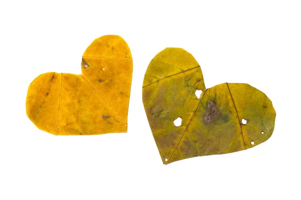 Coeurs Automne Symbole Coeur Sculpté Partir Une Belle Feuille Érable — Photo