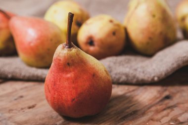 Armut ile natürmort. bir grup olgun armut yalan eski rendelenmiş ahşap tahta üzerinde çul üzerinde