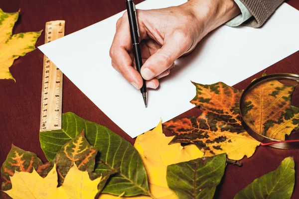 Mano Sostiene Bolígrafo Sobre Una Hoja Papel Blanco Sobre Una — Foto de Stock