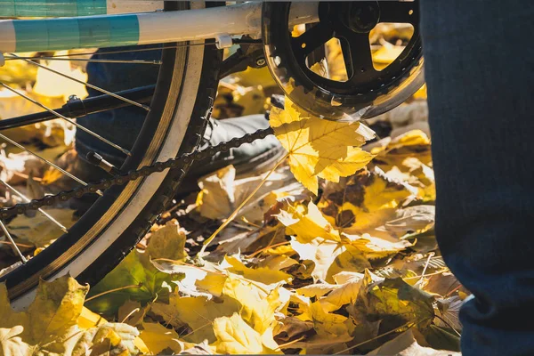 Roda Bicicleta Fica Nas Folhas Caídas Árvores Outono Lado Vie — Fotografia de Stock