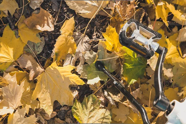 Pedal of a bicycle against a background of yellow leaves of a tree. Autumn parking lot. The pedal and the step of the bicycle against the background of the fallen yellow leaves of the tree. View from abov