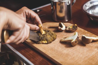 Toplanan mantarların incelenmesi. Tahta bir yaban domuzunun üstünde yenebilir mantar kesen bir adamın elleri.