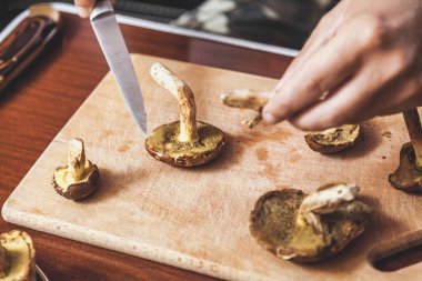 Toplanan mantarların incelenmesi. Tahta bir yaban domuzunun üstünde yenebilir mantar kesen bir adamın elleri.