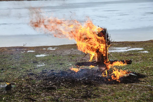 Slavic holiday of the end of winter. On the shore of a frozen river, the remains of a straw effigy of Pancake wee