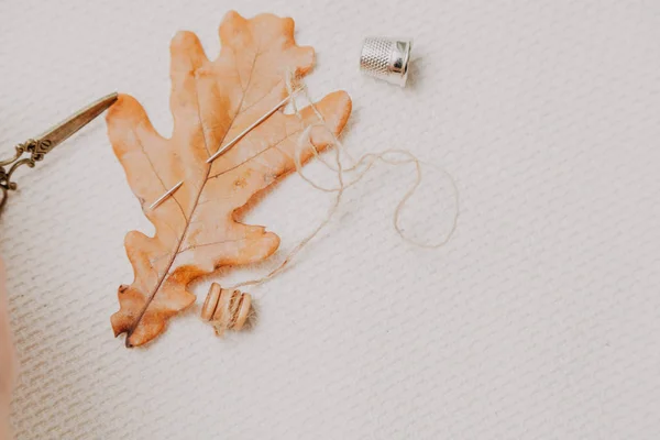 秋の静物 樫の木と糸でコイルの大きな黄色い葉は 白いリネンに横たわっていた 近くには指ぬきとシザー — ストック写真