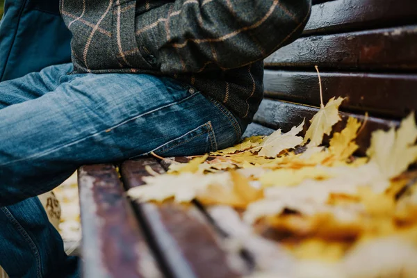 man in jeans and a checkered jacket sits on a wooden bench close-up. Nearby lie the yellow fallen maple leave