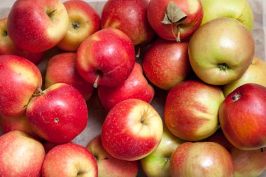 Elma ile natürmort. Güzel olgun elma bir grup eşit olarak yakın yalan