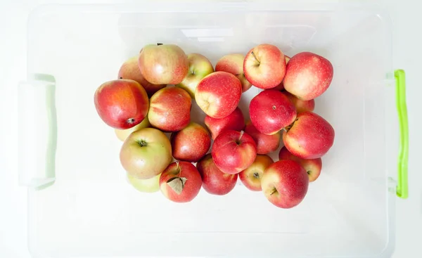 Still Life Apples Group Beautiful Ripe Apples Lie White Plastic — Stock Photo, Image