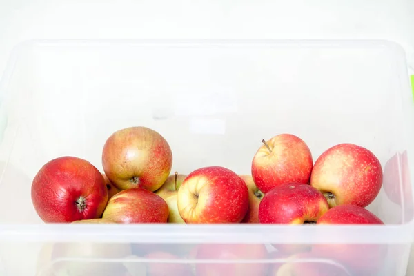 Still Life Apples Group Beautiful Ripe Apples Lie White Plastic — Stock Photo, Image