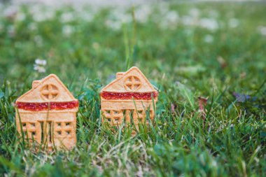 inanılmaz şirin bir evi. Küçük bir ev şeklinde üç kurabiye yeşil çayır kapat-u üzerinde durmak