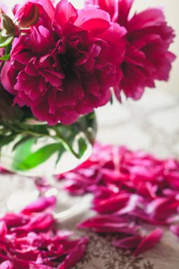 Peonies masanın üzerinde. Kısa bacaklar parlak kırmızı çiçekler şeffaf bir vazo içinde standı. Masanın üstüne düşmüş zavallı petal yalan