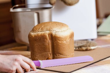 Taze ekmek dolabını kesmeden önce büyük bir leylak bıçağını dişleriyle tutan bir kadının elleri.