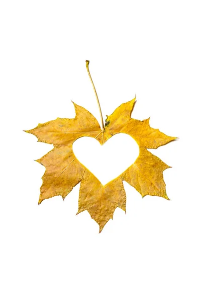 Coeur Automne Symbole Cœur Est Gravé Dans Des Pochoirs Une — Photo