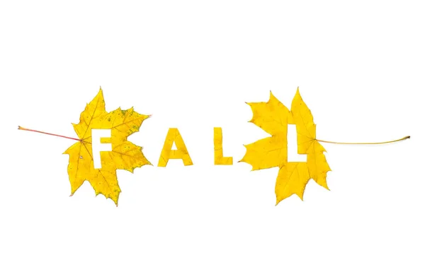 Herfst Brief Gesneden Een Mooie Gele Maple Leaf Een Witte — Stockfoto