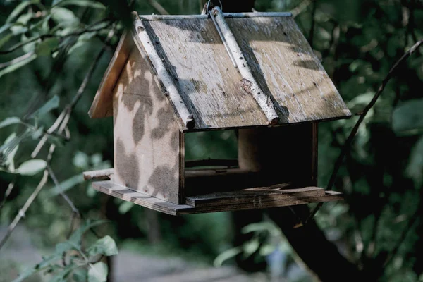 Alimentador Casero Aves Madera Pesa Sobre Árbol Parque Verano —  Fotos de Stock