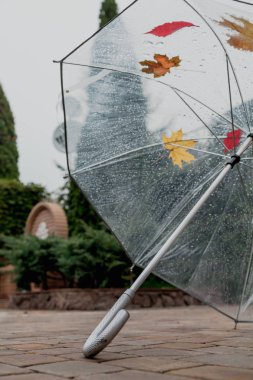 Sonbahar hikayesi. Açılan şeffaf şemsiye bir kare taş döşeme üzerinde duruyor. Ağaç yapraklarının üzerinde şemsiye yalan