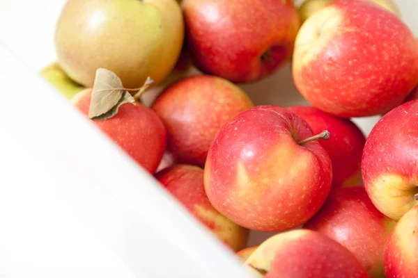 Still Life Apples Group Beautiful Ripe Apples Lie White Plastic — Stock Photo, Image