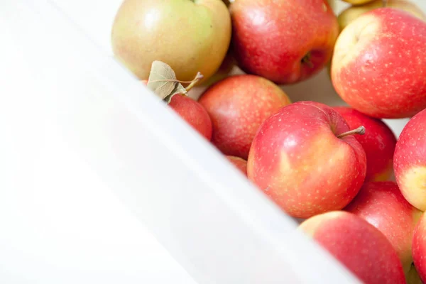 Still Life Apples Group Beautiful Ripe Apples Lie White Plastic — Stock Photo, Image