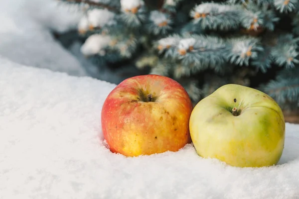 Яблоки Снегу Фруктовый Натюрморт Зимой Два Прекрасных Яблока Лежат Белом — стоковое фото