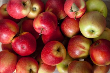 Elma ile natürmort. Güzel olgun elma bir grup eşit olarak yakın yalan