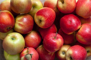 Elma ile natürmort. Güzel olgun elma bir grup eşit olarak yakın yalan