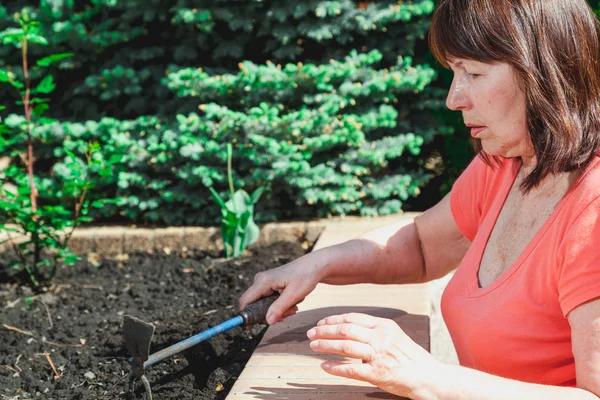 Cute Elderly Woman Treats Black Earth High Terrace Help Hand — Stock Photo, Image