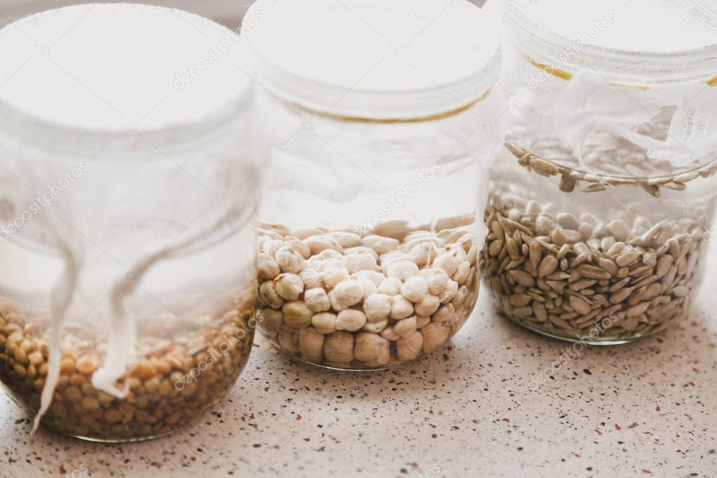 Germination of seeds in water. Glass jars with different seeds are filled with water. Banks are covered with white gauz
