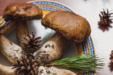 Orman natürmort. Güzel beyaz mantar bir plaka üzerinde yalan. Yakınlarda koniler ve çam Dalı bulunmaktadır. Kapat-u