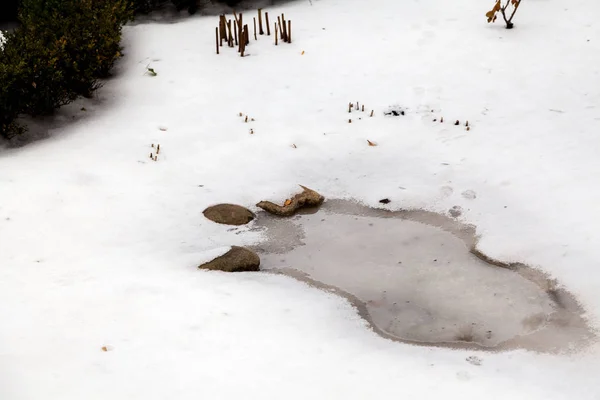 Zimowe Odwilży Basen Wodą Środku Śniegu Drzew Pochmurne Niebo Odbite — Zdjęcie stockowe