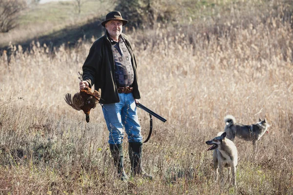 Jäger Mit Gewehr Wildvogel Und Hunden Nach Erfolgreicher Jagd — Stockfoto