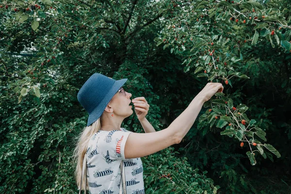 夏季维生素 年轻美丽的金发女郎在蓝色的帽子撕下与桑树水果的树 — 图库照片
