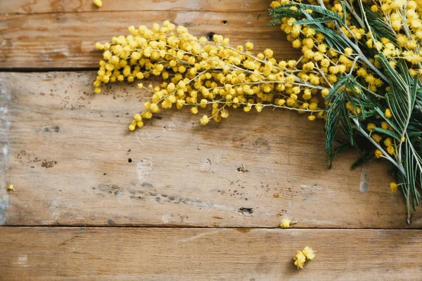 Bahar Etude. Sarı Mimoza dalı ahşap tahta üzerinde yatıyor