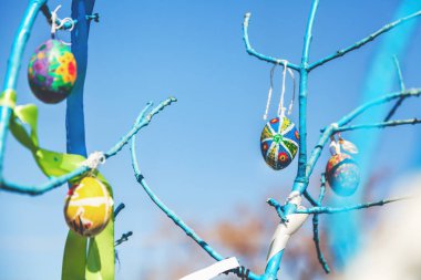 birkaç mavi sk karşı bir ağaç dalına asılı Paskalya yumurta boyalı