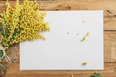 Bahar natürmort. Sarı Mimoza dalı ahşap kurullarında yer almaktadır. Sonraki beyaz pape sayfadır
