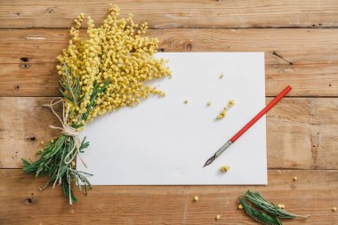 Romantik bahar yazma için ayarlayın. Bir buket sarı Mimoza ve vintage mürekkep kalem beyaz pape bir sayfasına yalan