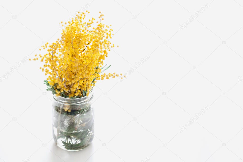 Spring came. The branch of the yellow mimosa stands in a transparent vase with wate