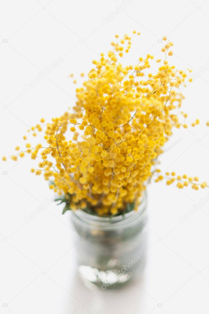 Spring came. The branch of the yellow mimosa stands in a transparent vase with wate